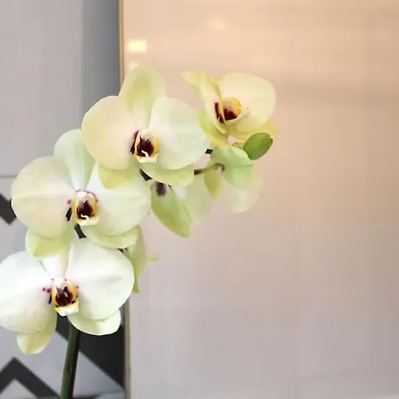 아파트 Sant'anna 리스본