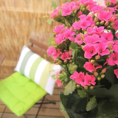 Apartment Sant'anna