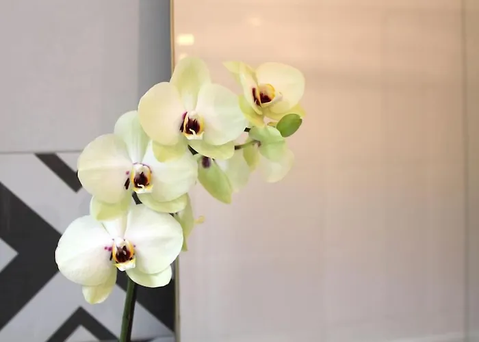 公寓 Sant'anna Lisboa